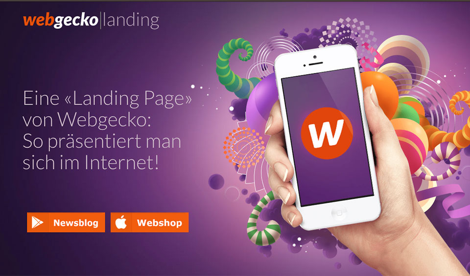 Dein-Webshop.ch Preisgünstiger E-Commerce E-Shop von Webgecko: Starter Paket «LandingPage»